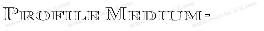 Profile Medium字体转换